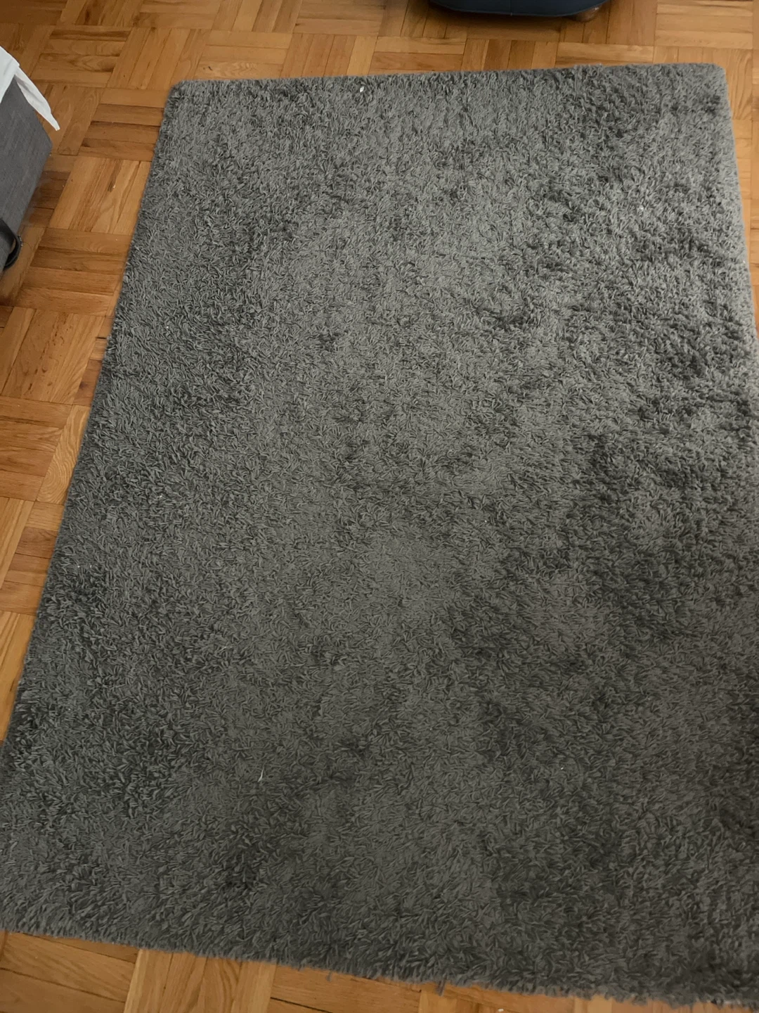Grey Shag Rug