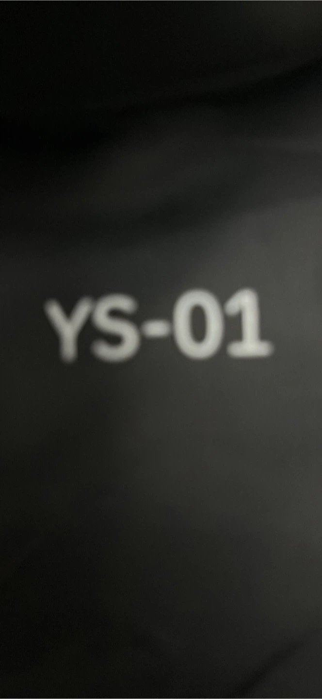 YZY YS-01 Slides - photo 4