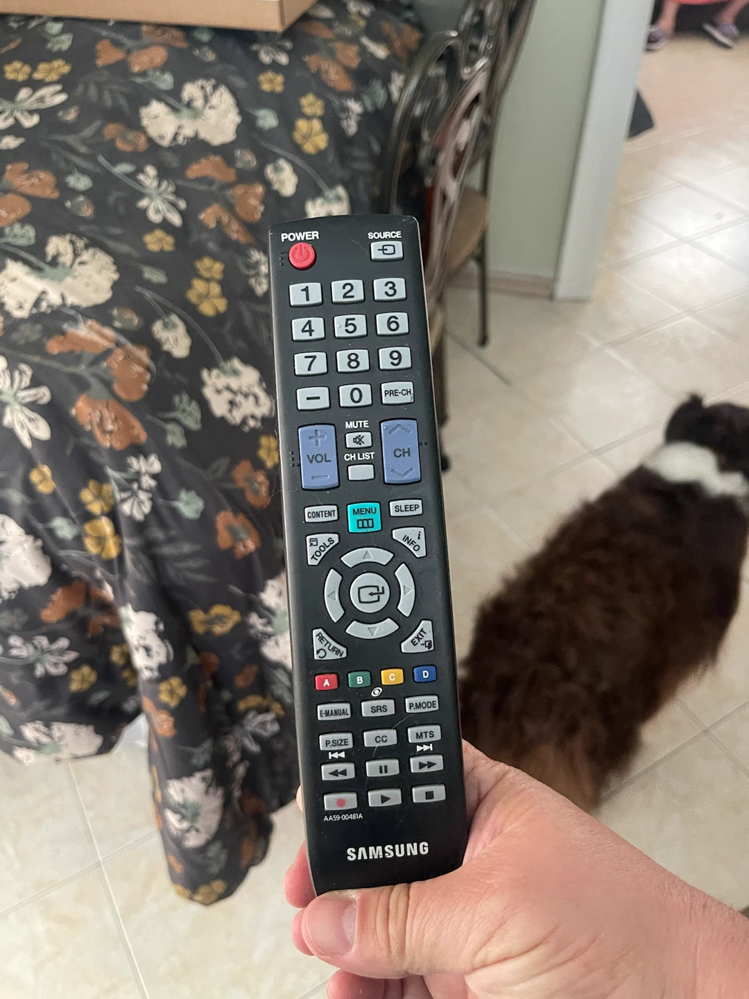 Samsung 32-inch HDTV with Remote - photo 4
