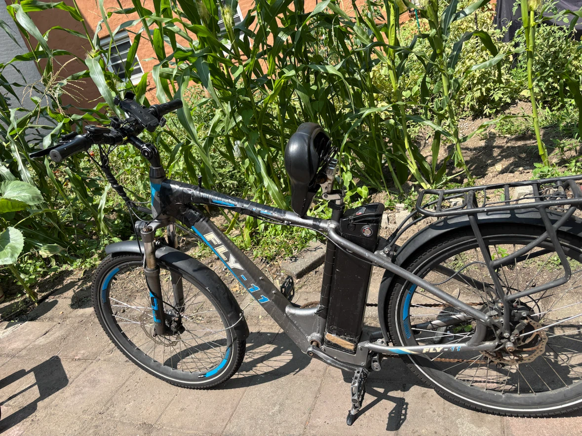FLYER Electric Bike