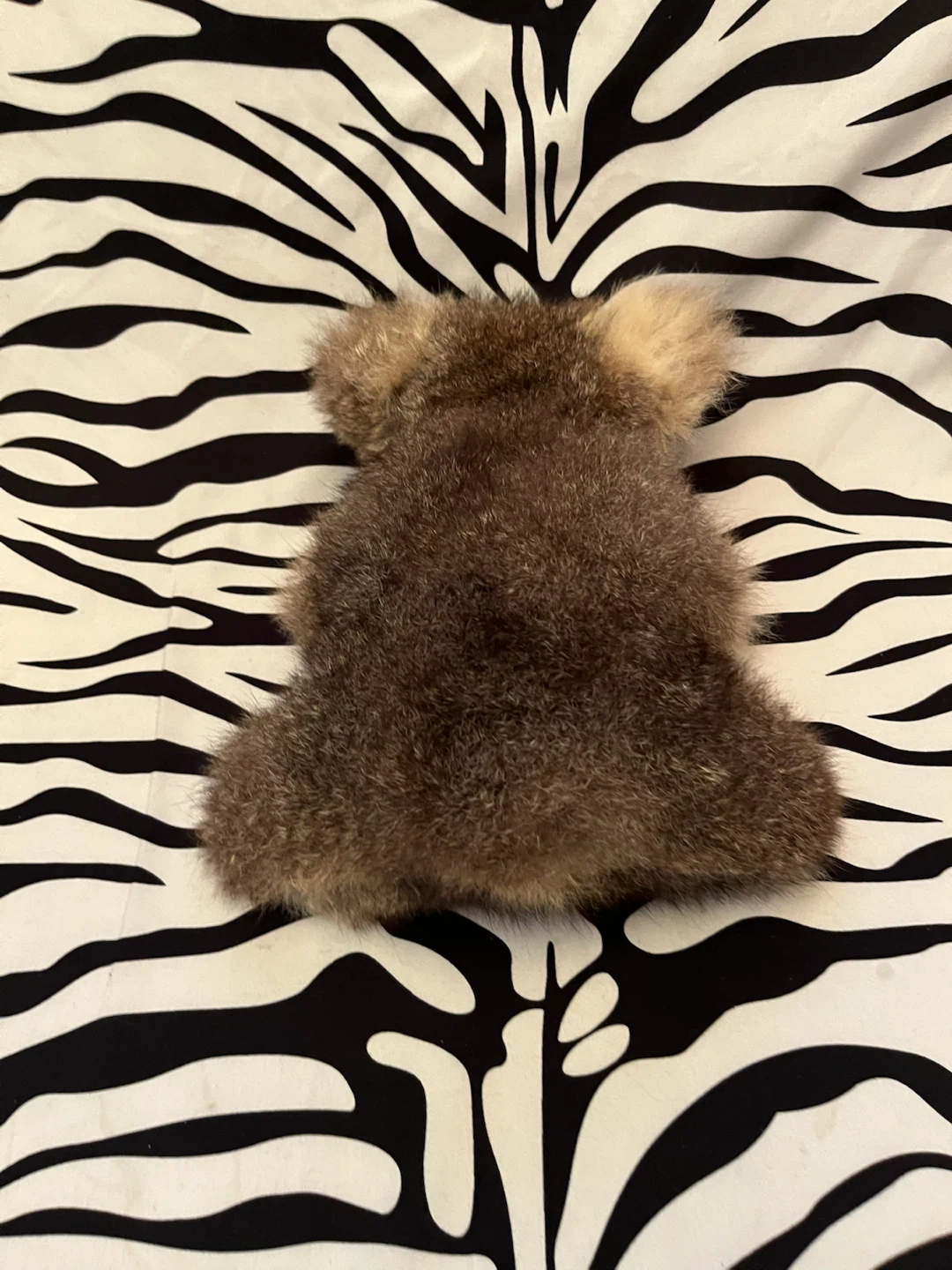 🇦🇺 vintage Australian koala bear plush toy - photo 5