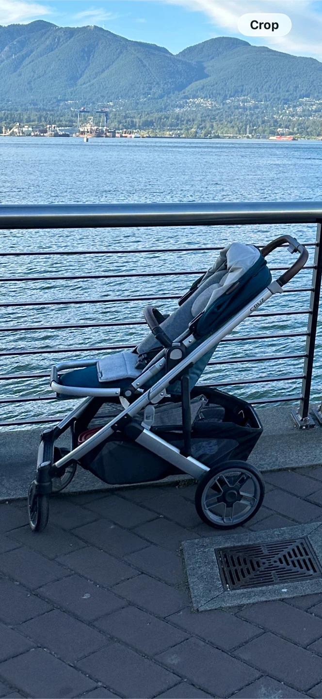 UPPAbaby Stroller Cruz V2
