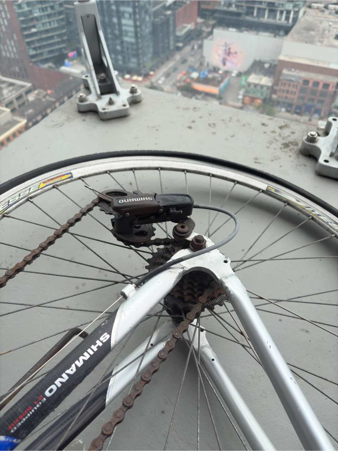 Blue Aluminum Medalist Road Bike - photo 4