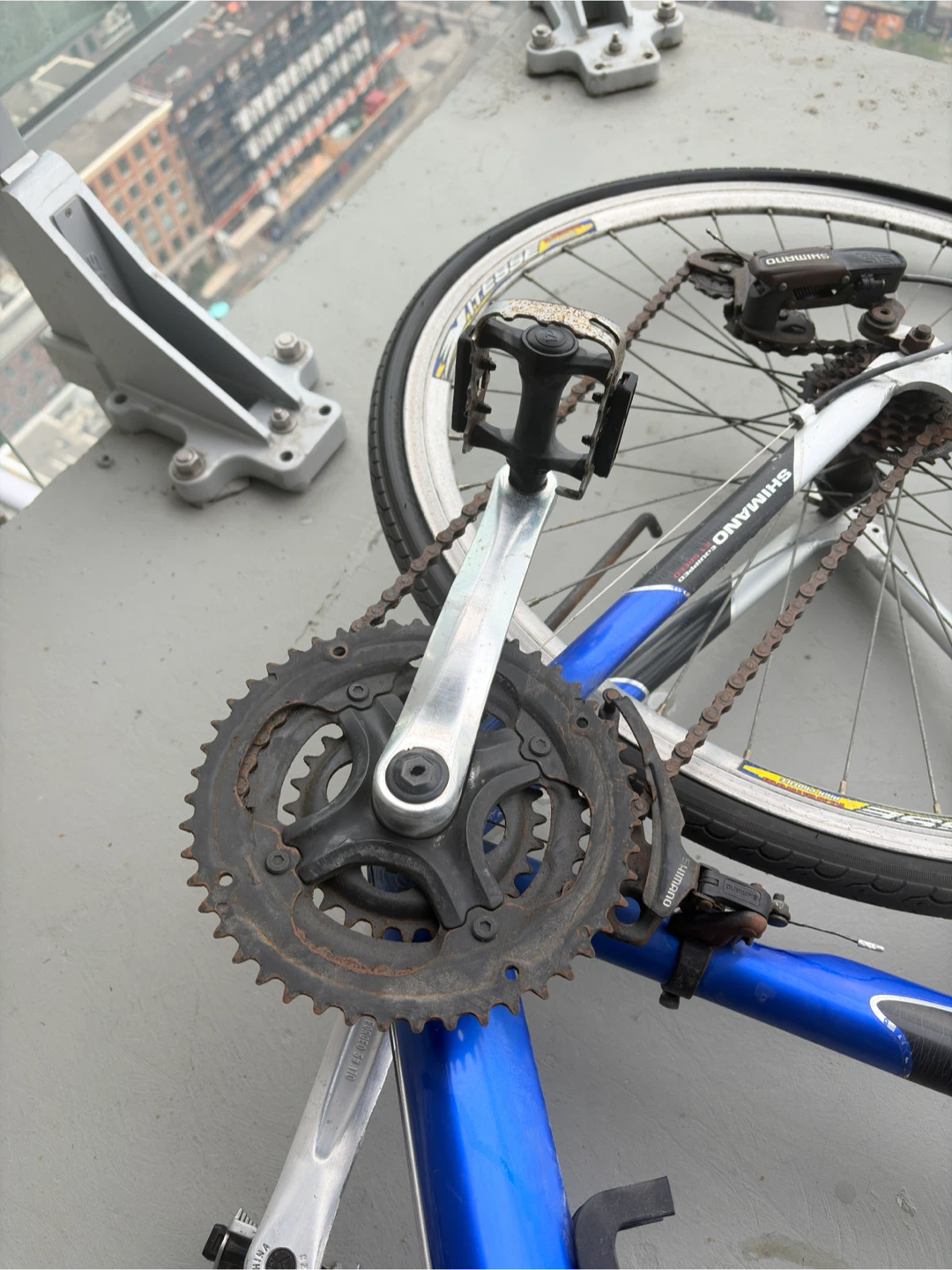 Blue Aluminum Medalist Road Bike - photo 5