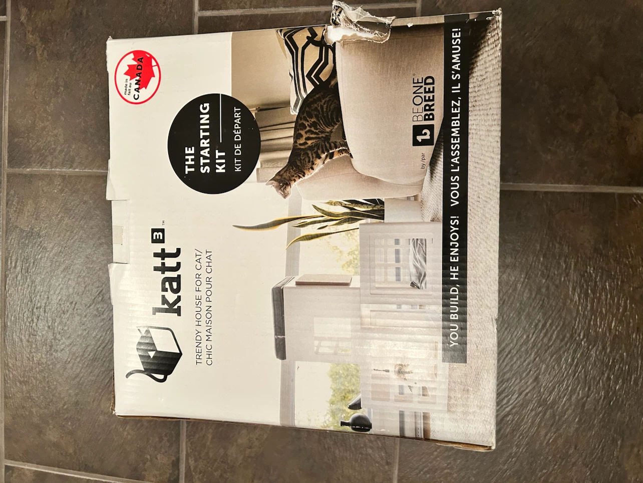 Katt 3 Trendy House for Cat Starting Kit
