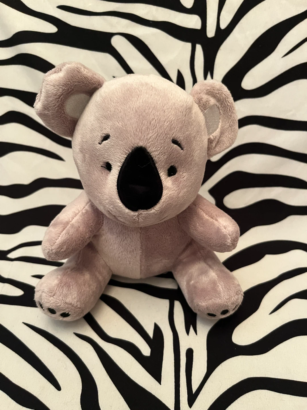 🐨 Hit wear Koko Koala plush toy 🐨