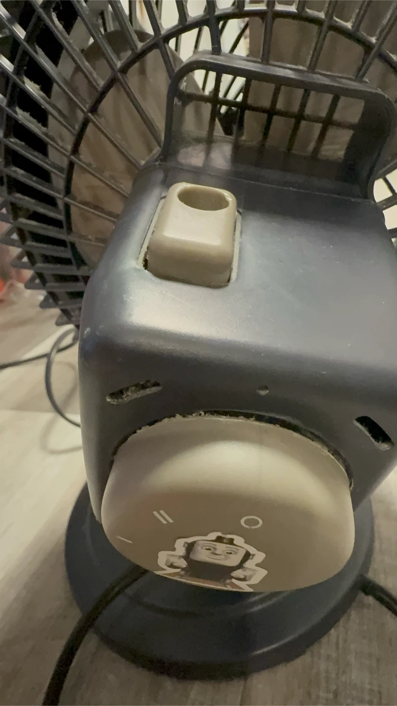 Sunbeam Blizzard Desk Fan – Works Great - photo 3
