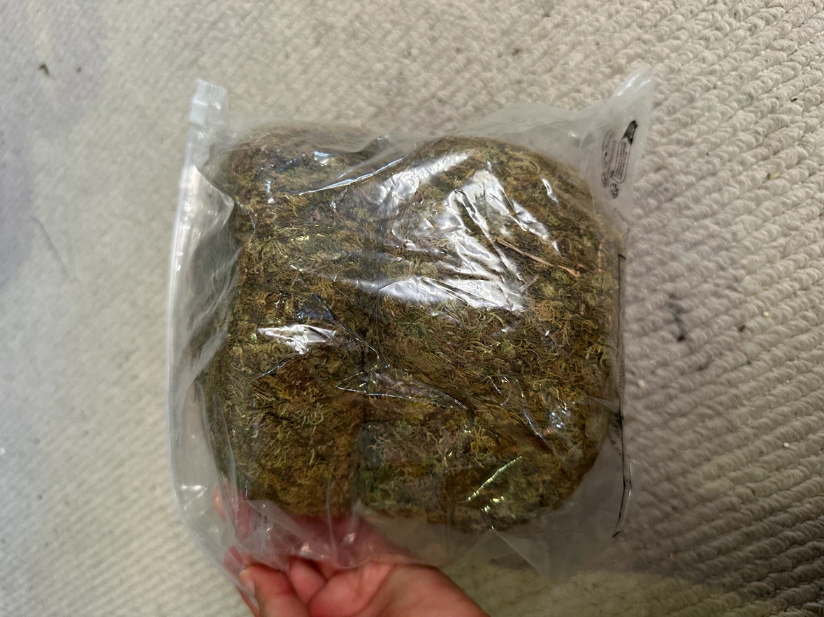🆕 Faux Kokedama Moss Balls x2 - photo 2