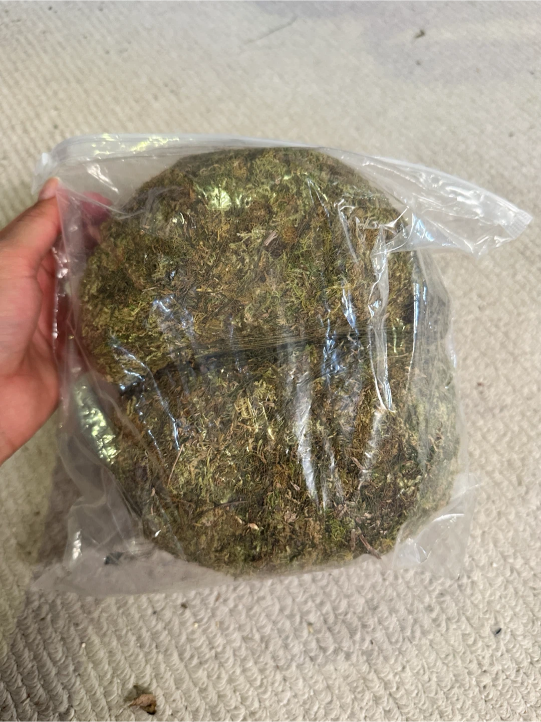 🆕 Faux Kokedama Moss Balls x2 - photo 3