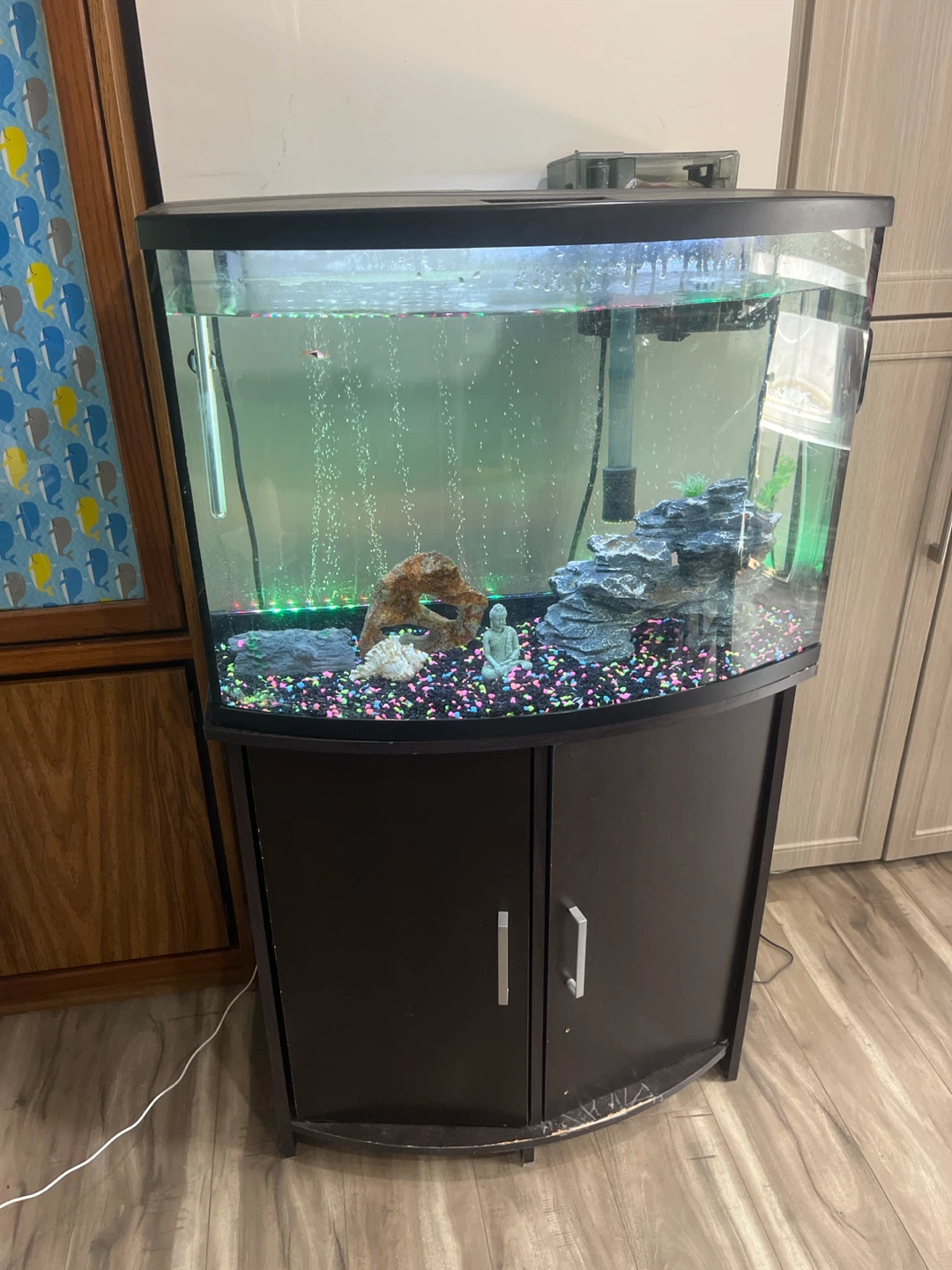 Curved Aquarium with Stand and Accessories