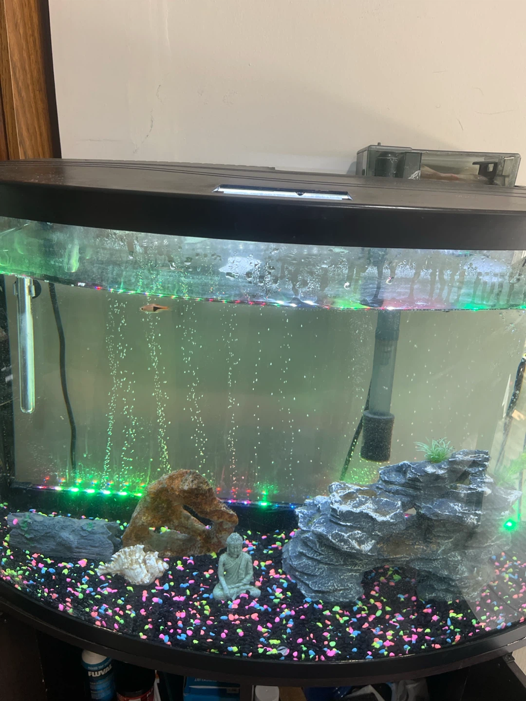 Curved Aquarium with Stand and Accessories - photo 4