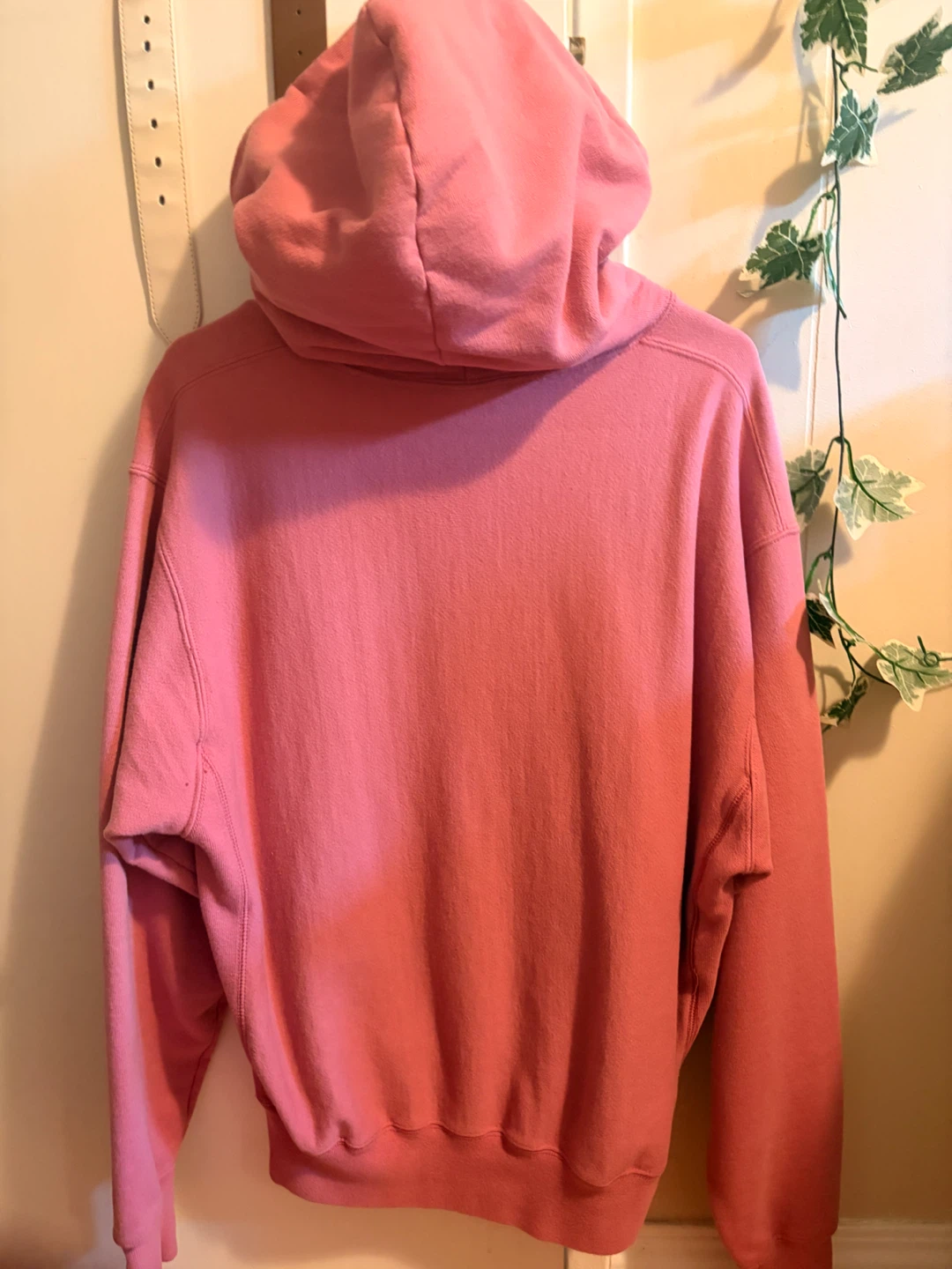 Champion Pink Hoodie