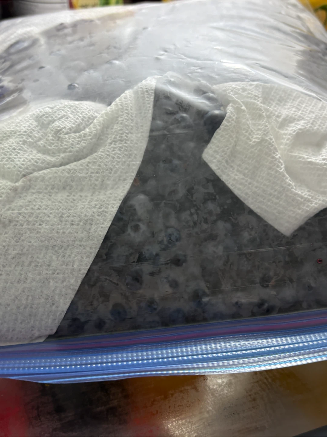 Fresh Wild Blueberries - photo 3