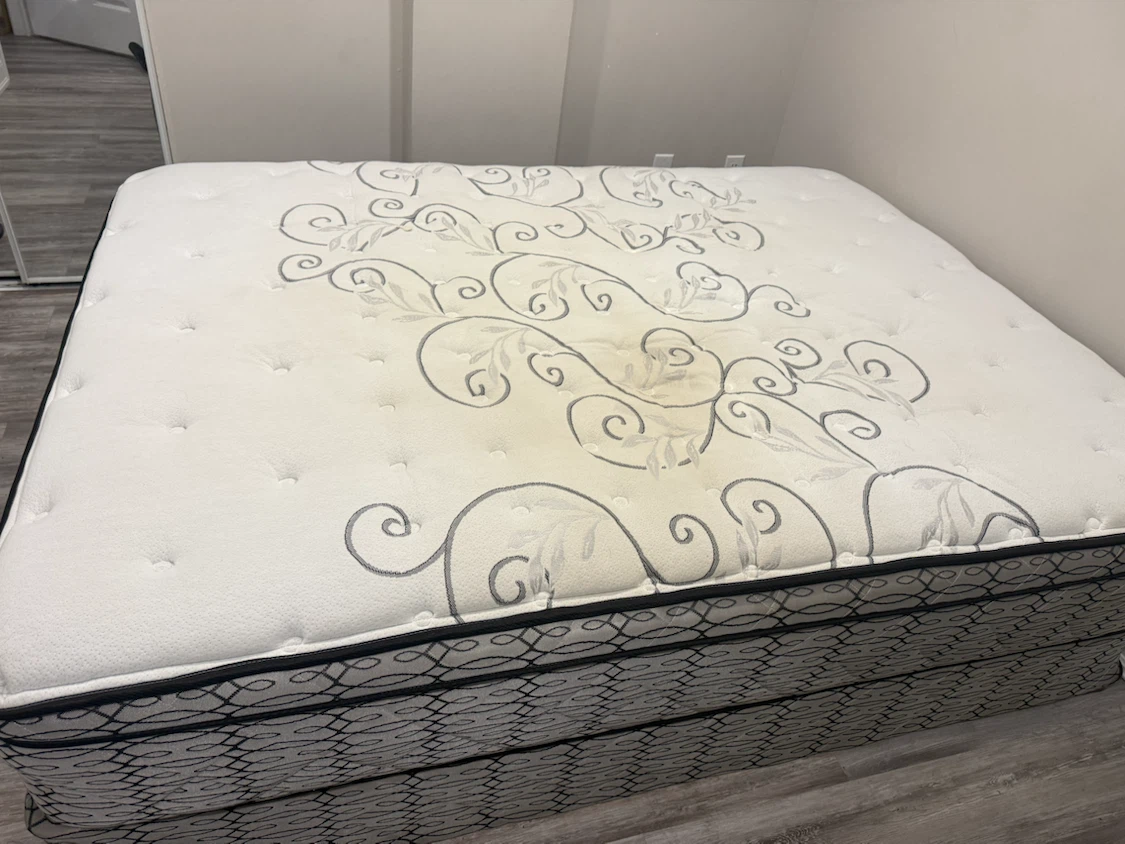 Queen Sealy Posturepedic Proback Mattress with box spring - photo 4