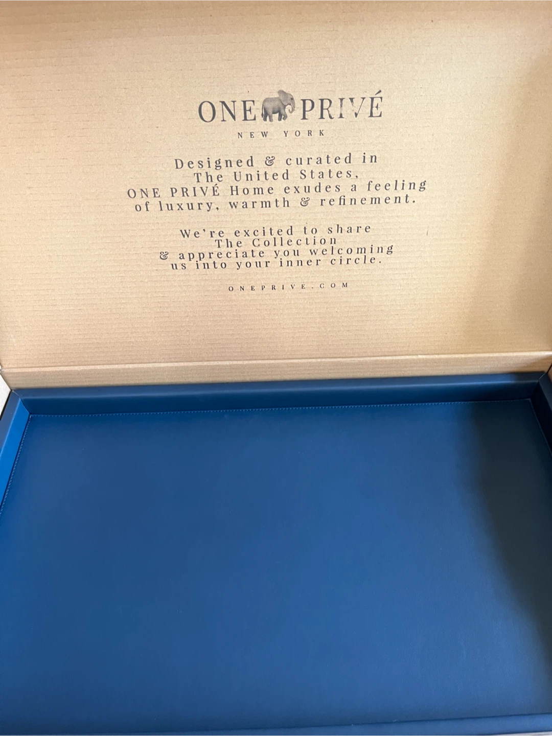 ONE PRIVÉ leather Serving Tray with nickel Handles 15x26 inches - photo 4
