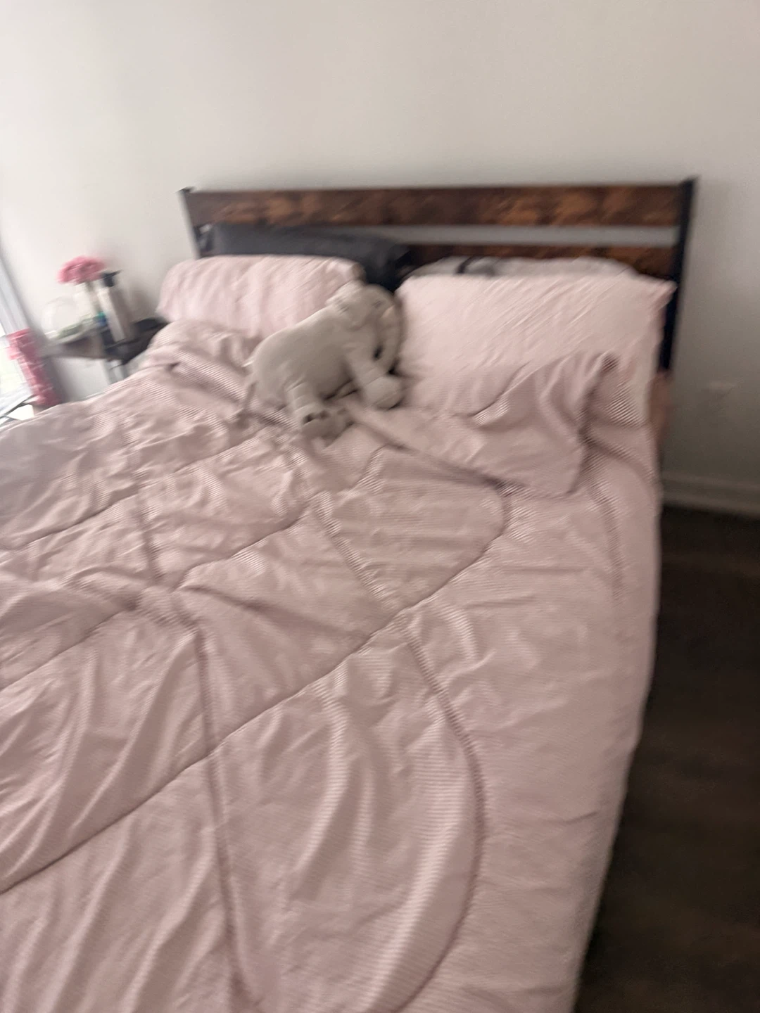 1 private bedroom for rent in 1bed 1 Den - photo 4