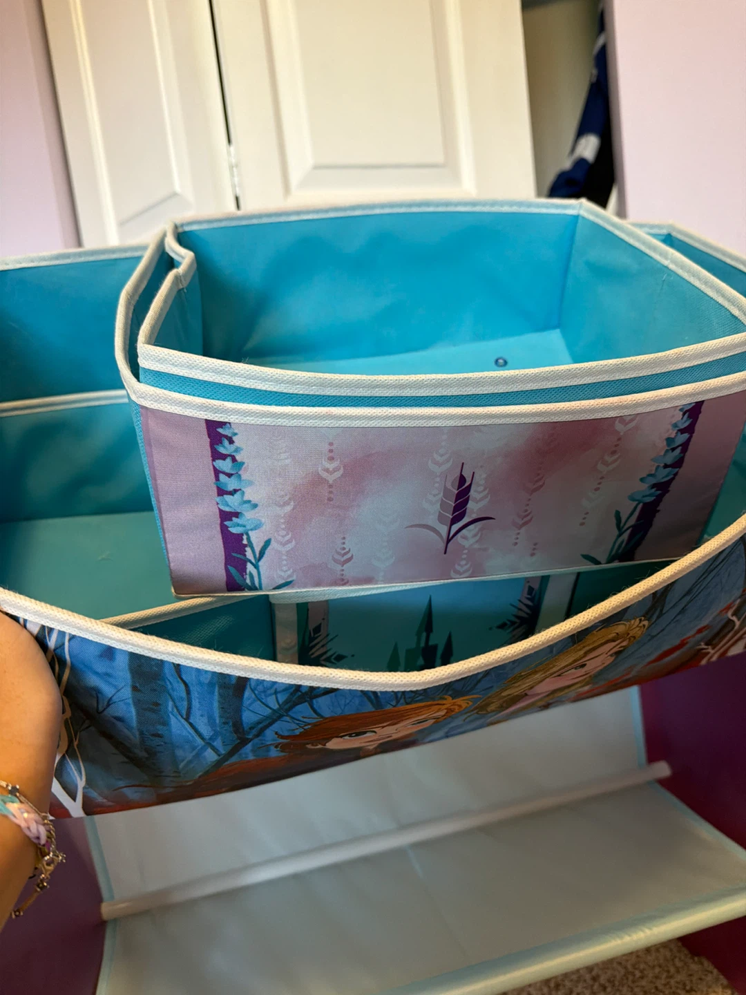 Frozen Storage Organizer