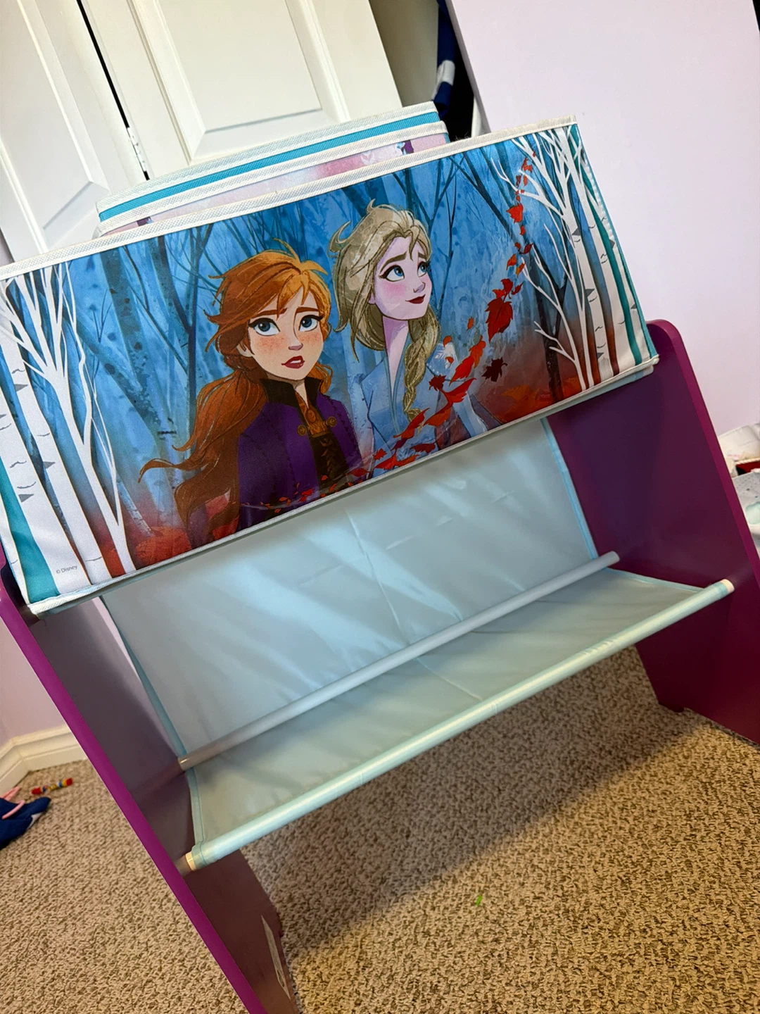 Frozen Storage Organizer - photo 2