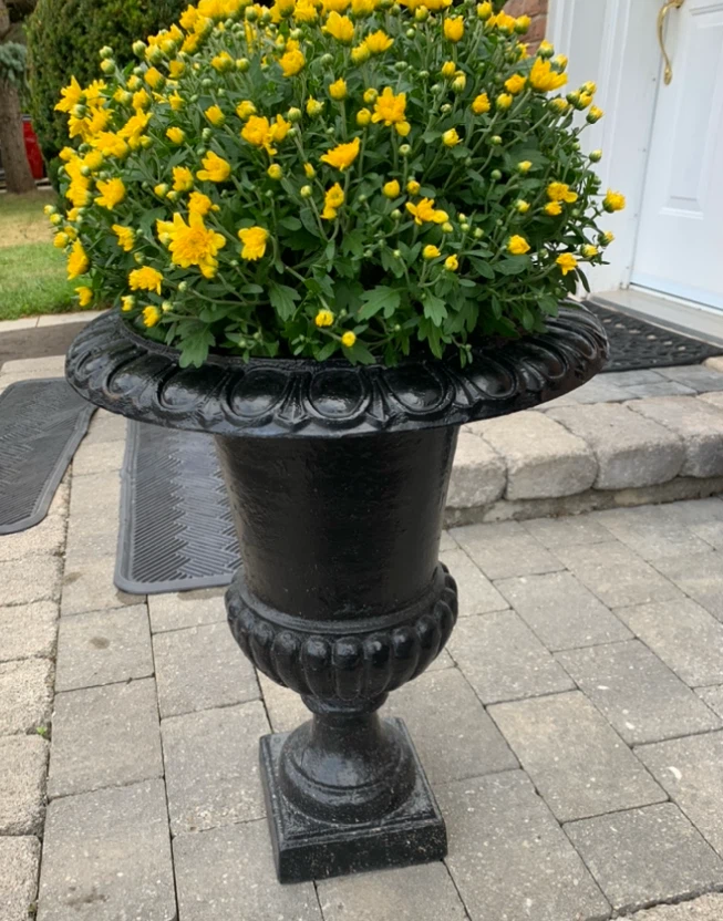Large heavy cast iron urn planter
