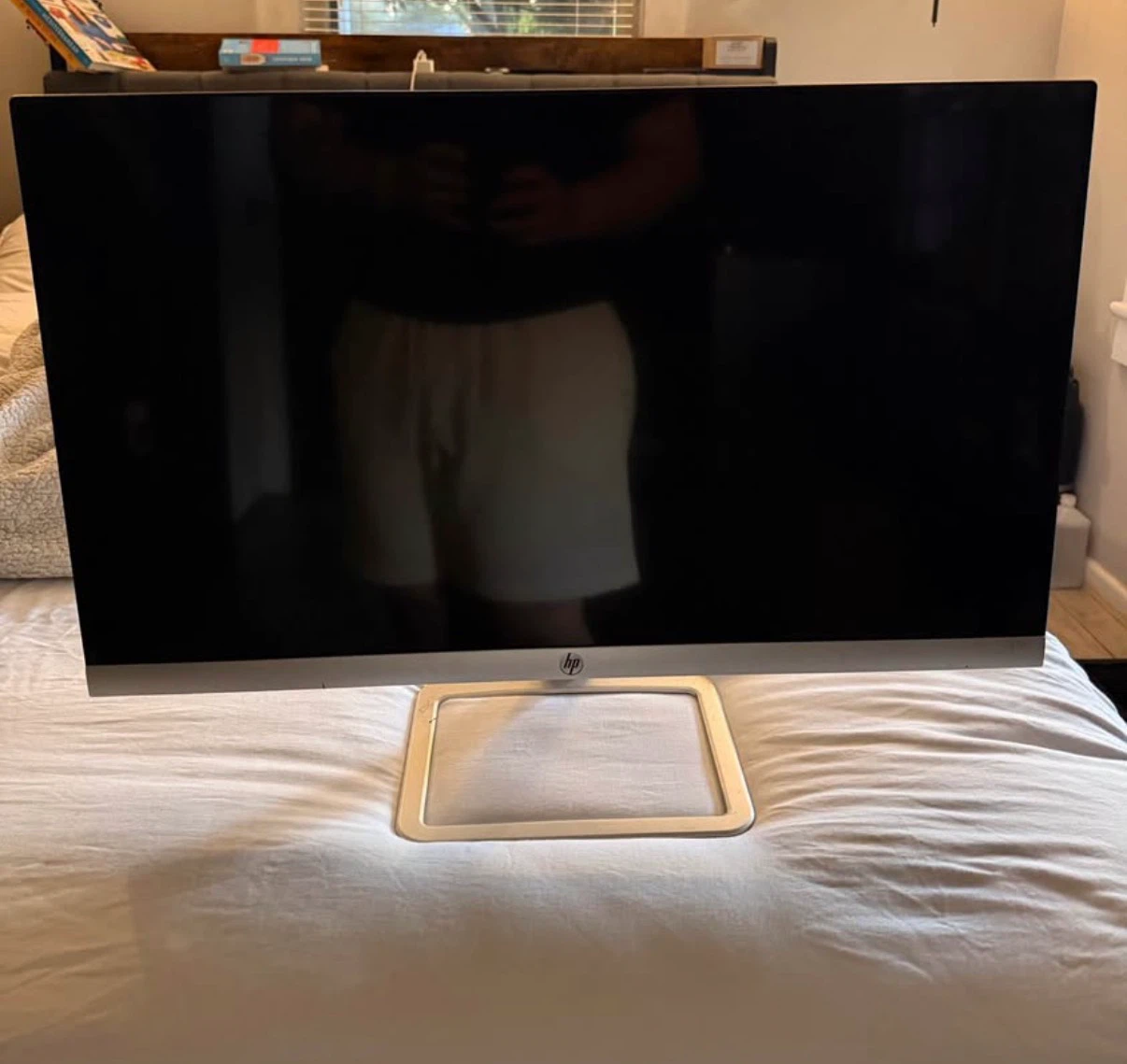 HP Computer Monitor
