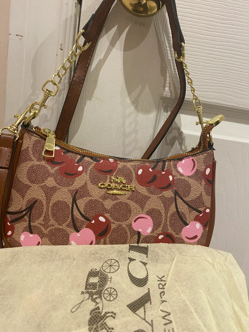 Coach Nolita 19 Cherry Print Shoulder Bag - photo 4