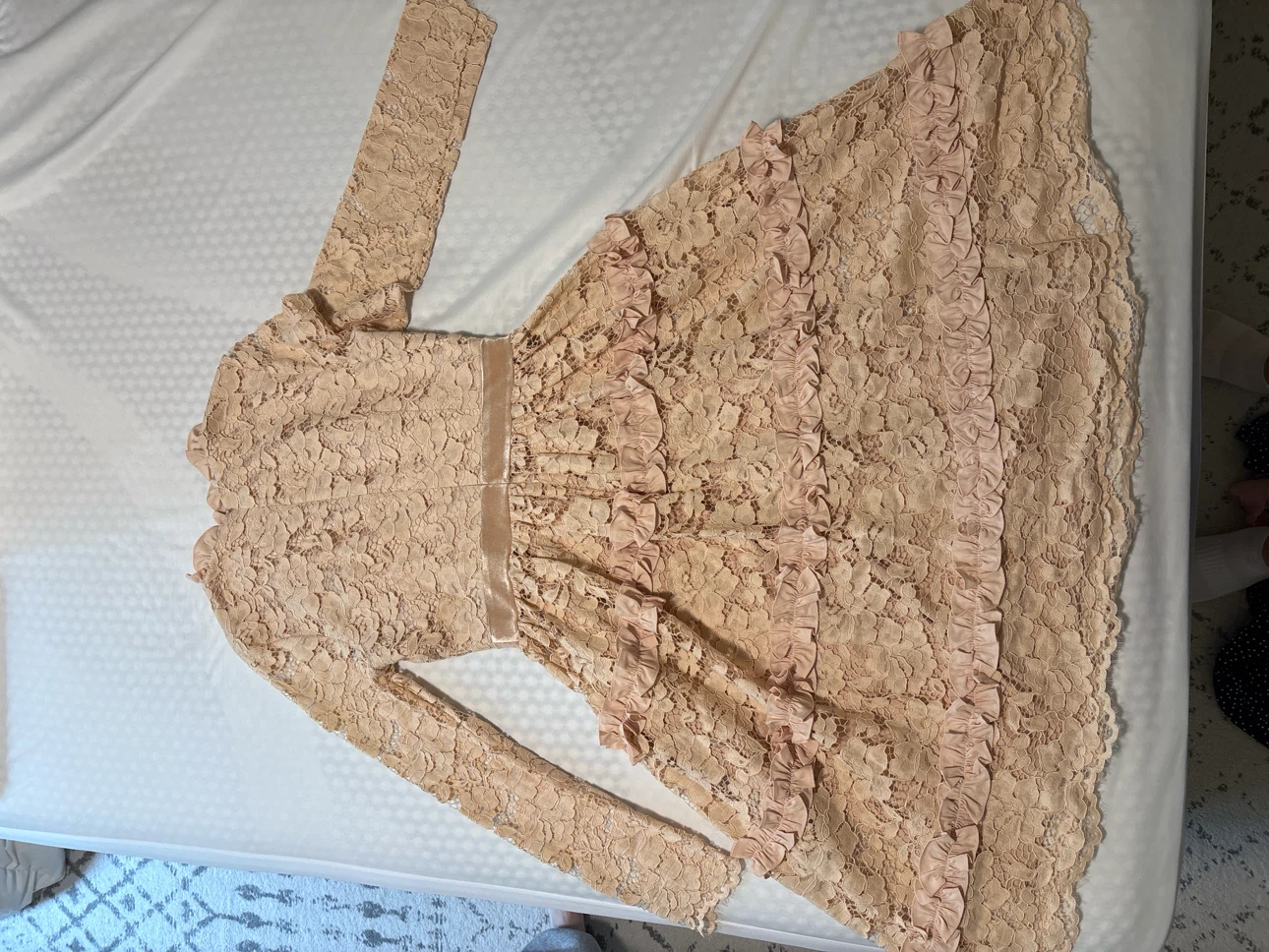 Rachel Parcell Lace Dress - Never Worn - photo 2