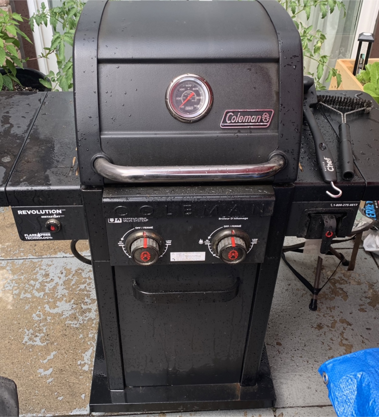 Coleman Propane Grill