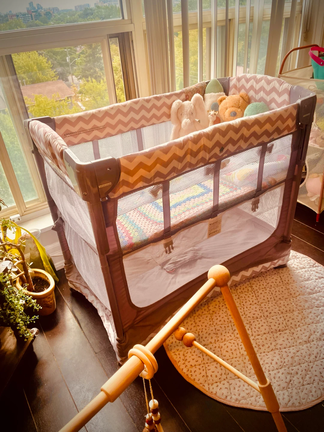 Arms Reach CoSleeper Convertible Portable Bassinet