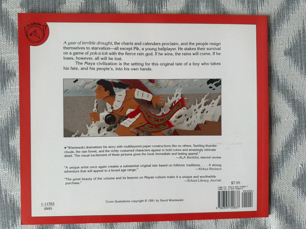 Rain Player by David Wisniewski Children's Book - photo 2