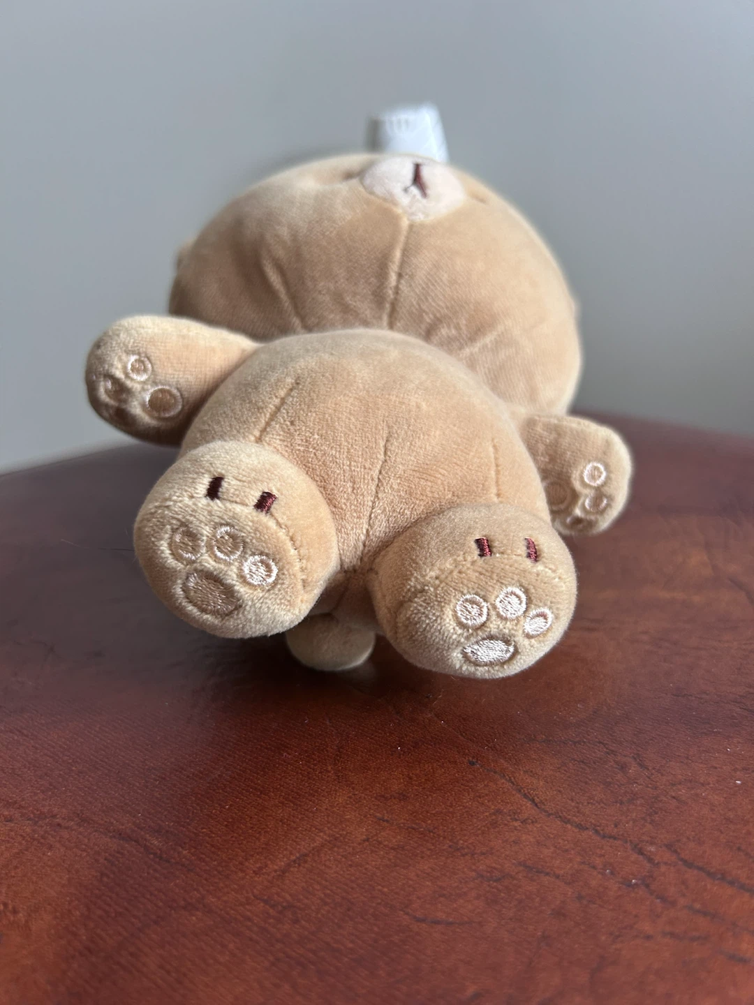 Official Mocha Plush Stuffed Bear - photo 5