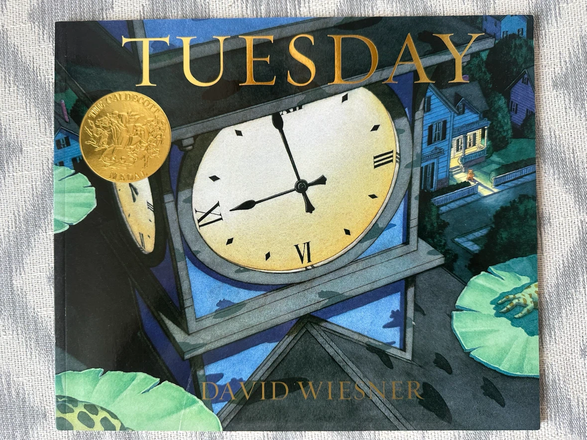 Tuesday by David Wiesner Children's Book