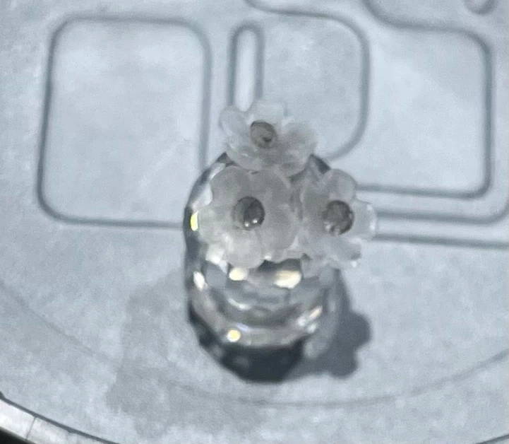 Vintage Limited Edition Swarovski cactus with flowers