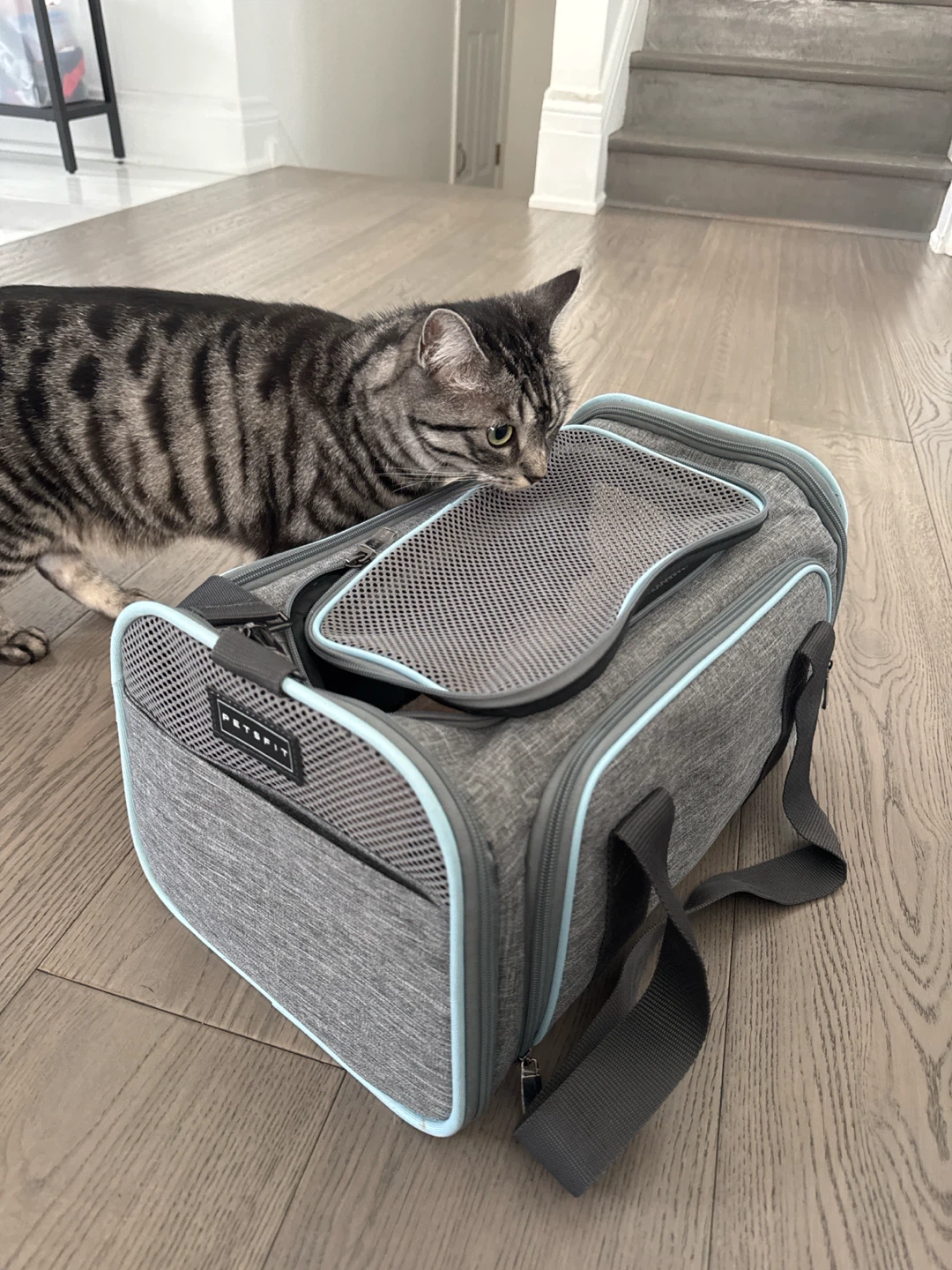 Pet Carrier Bag