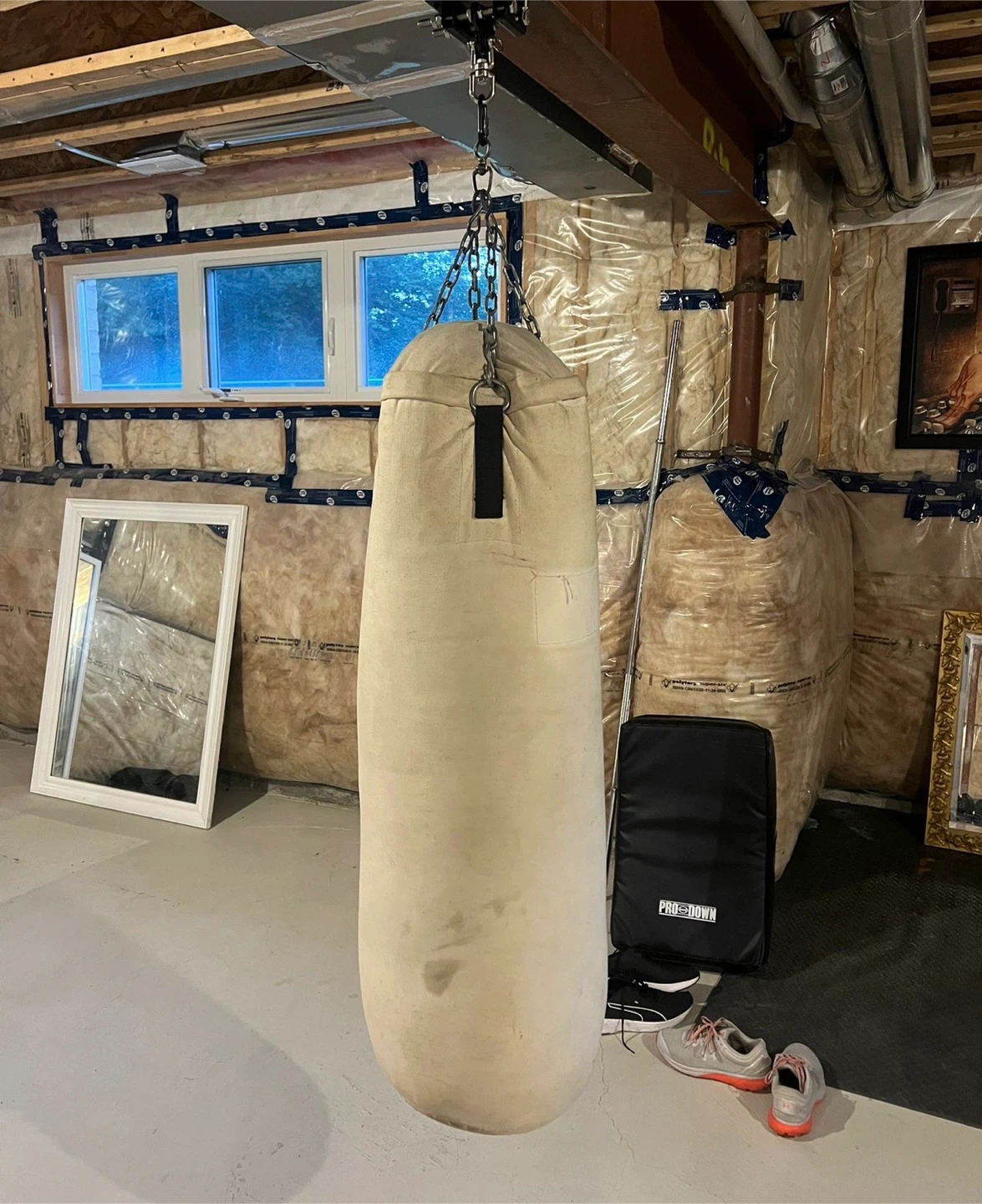 Heavy Duty Punching Bag