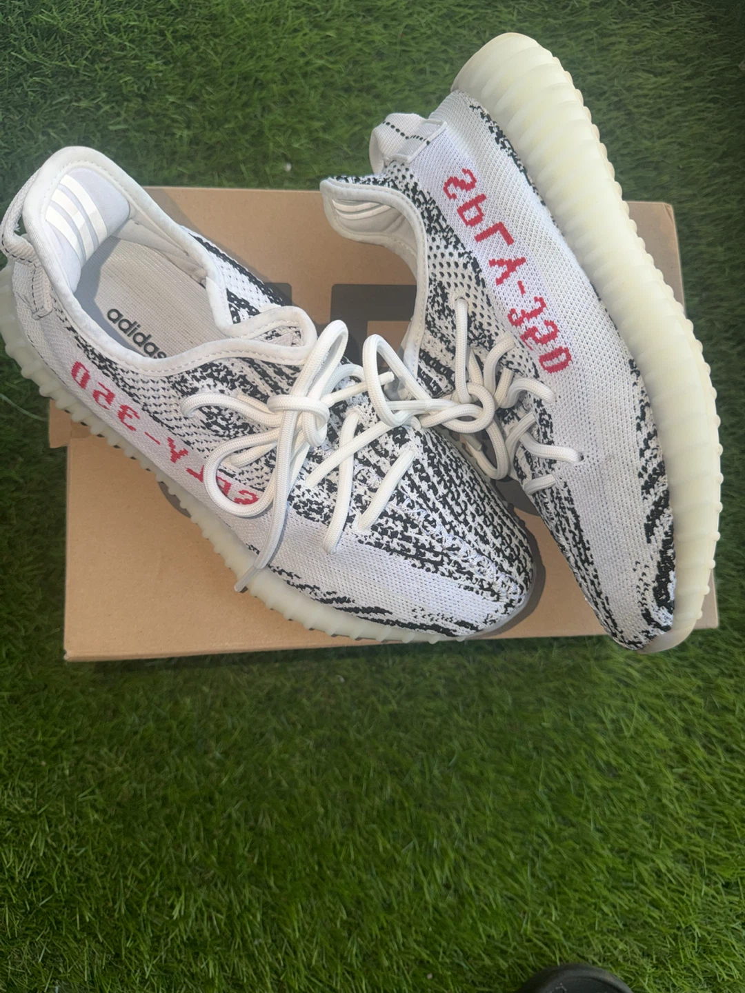 Adidas Yeezy Boost 350 V2 Zebra