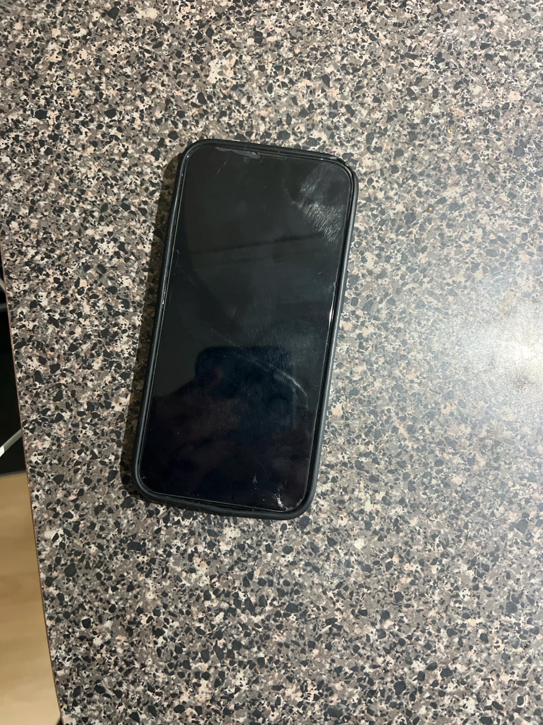 Apple iPhone 13 Pro