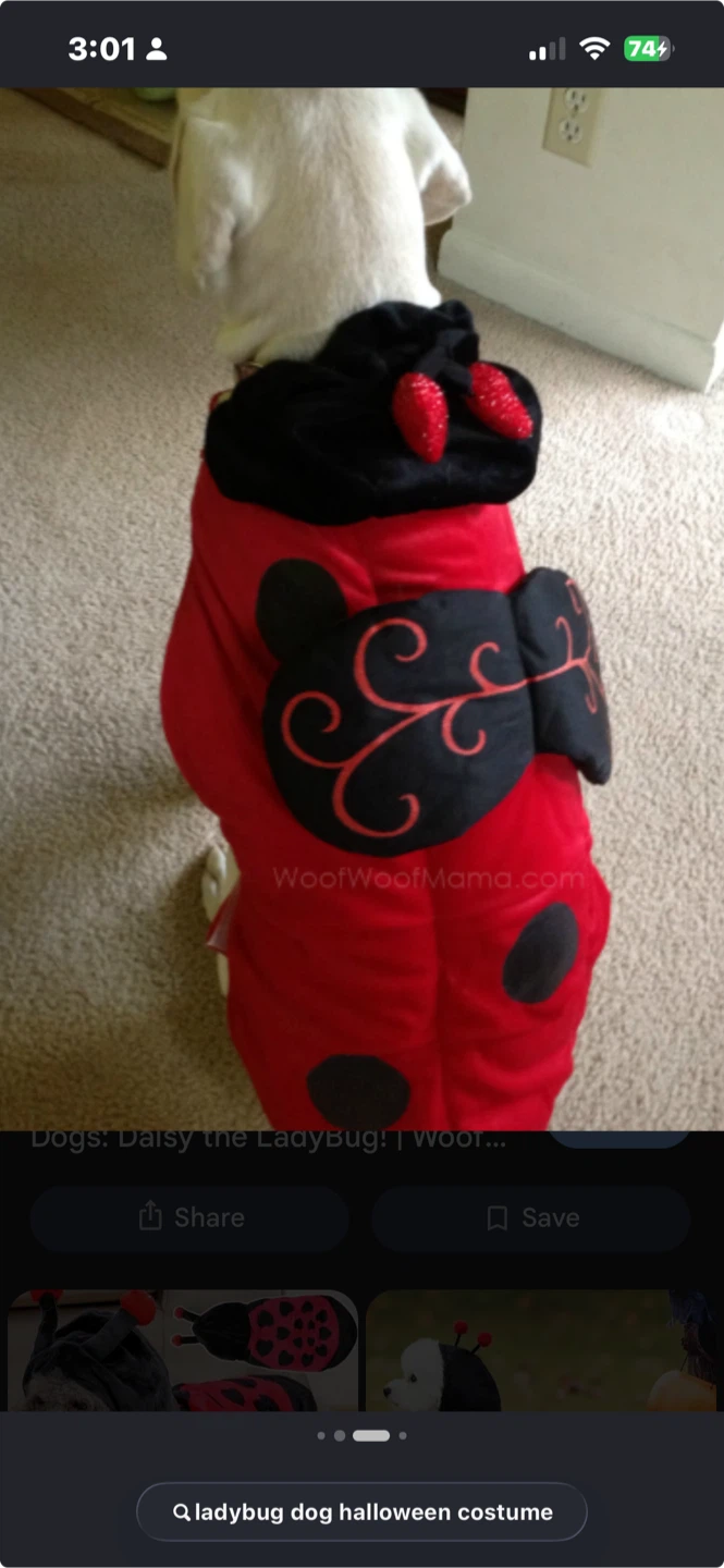 Ladybug Pet Costume - photo 3