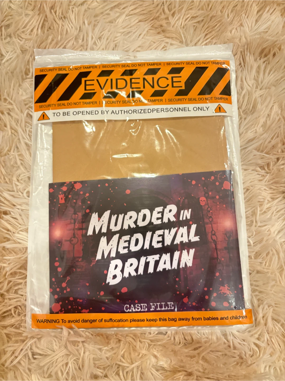 Murder in Medieval Britain Case File