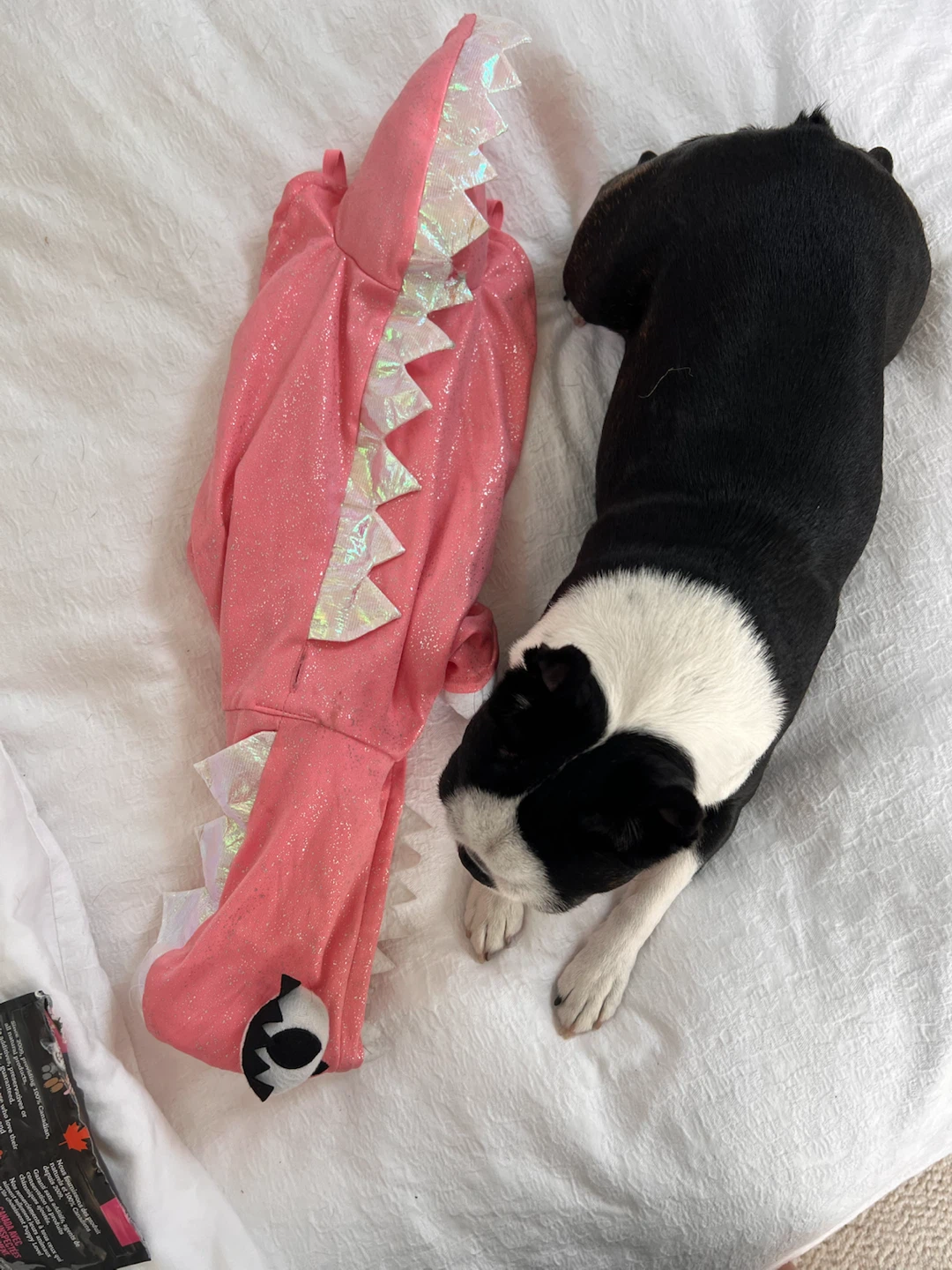 Pink Dinosaur/Dragon Dog Costume