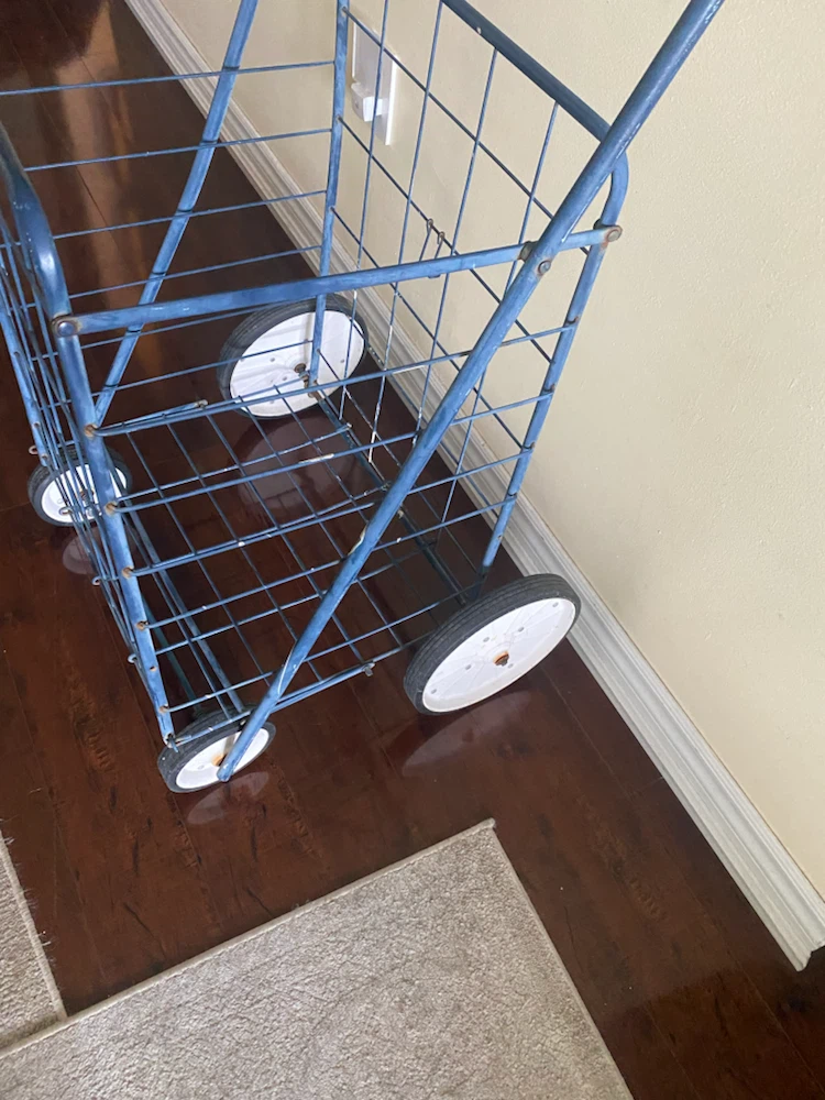 Blue Rolling Shopping Cart - photo 2