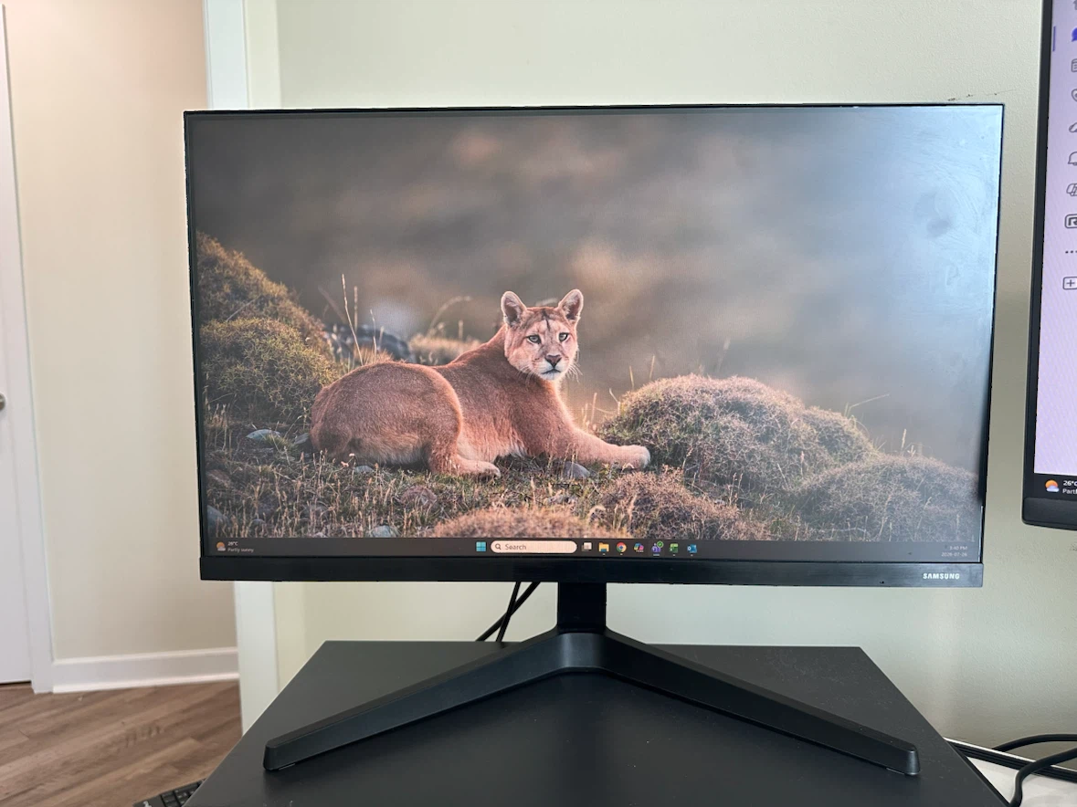 Samsung 24" LF24T350FHNXZA Monitor