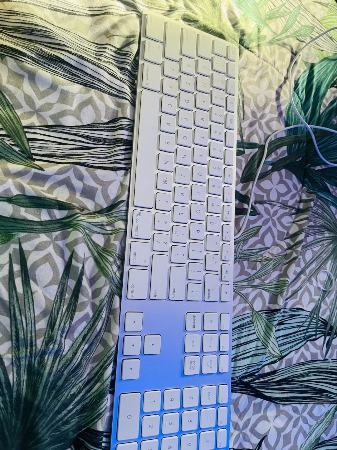 Apple A1243 Wired Aluminum Keyboard - photo 2