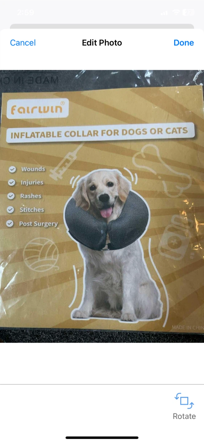 Inflatable dog cone, neck donut, recovery collar