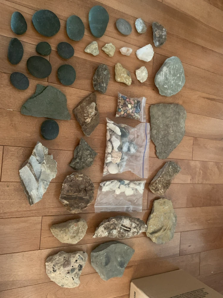 Collection of rocks,crystals,fossils and shells