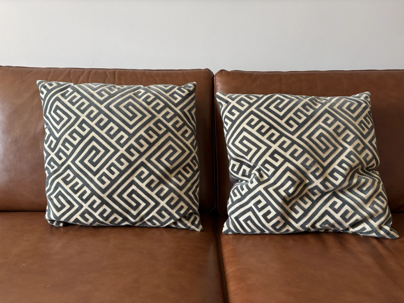 Throw Pillows Set of 2