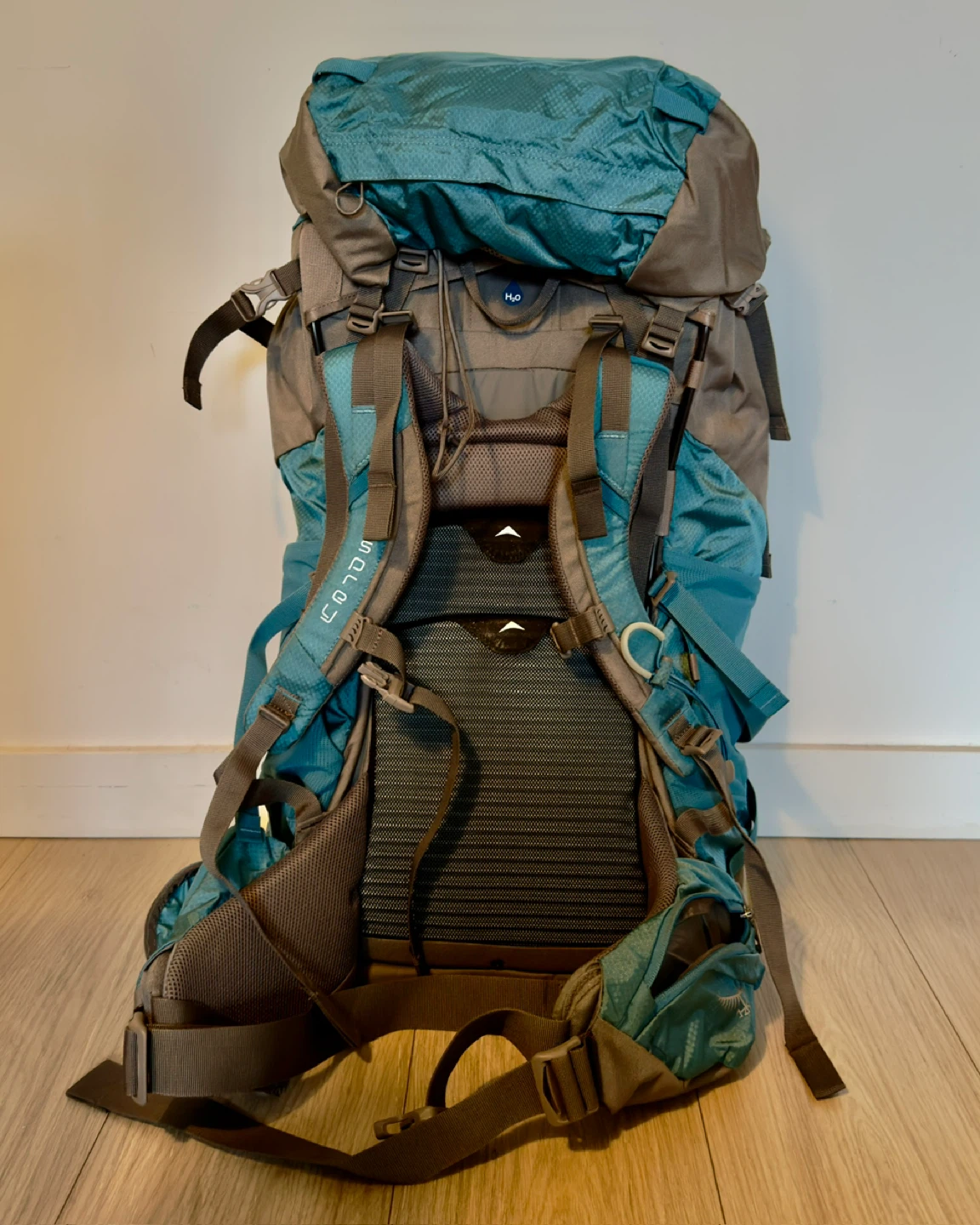 Osprey Viva 65 Backpack - photo 2