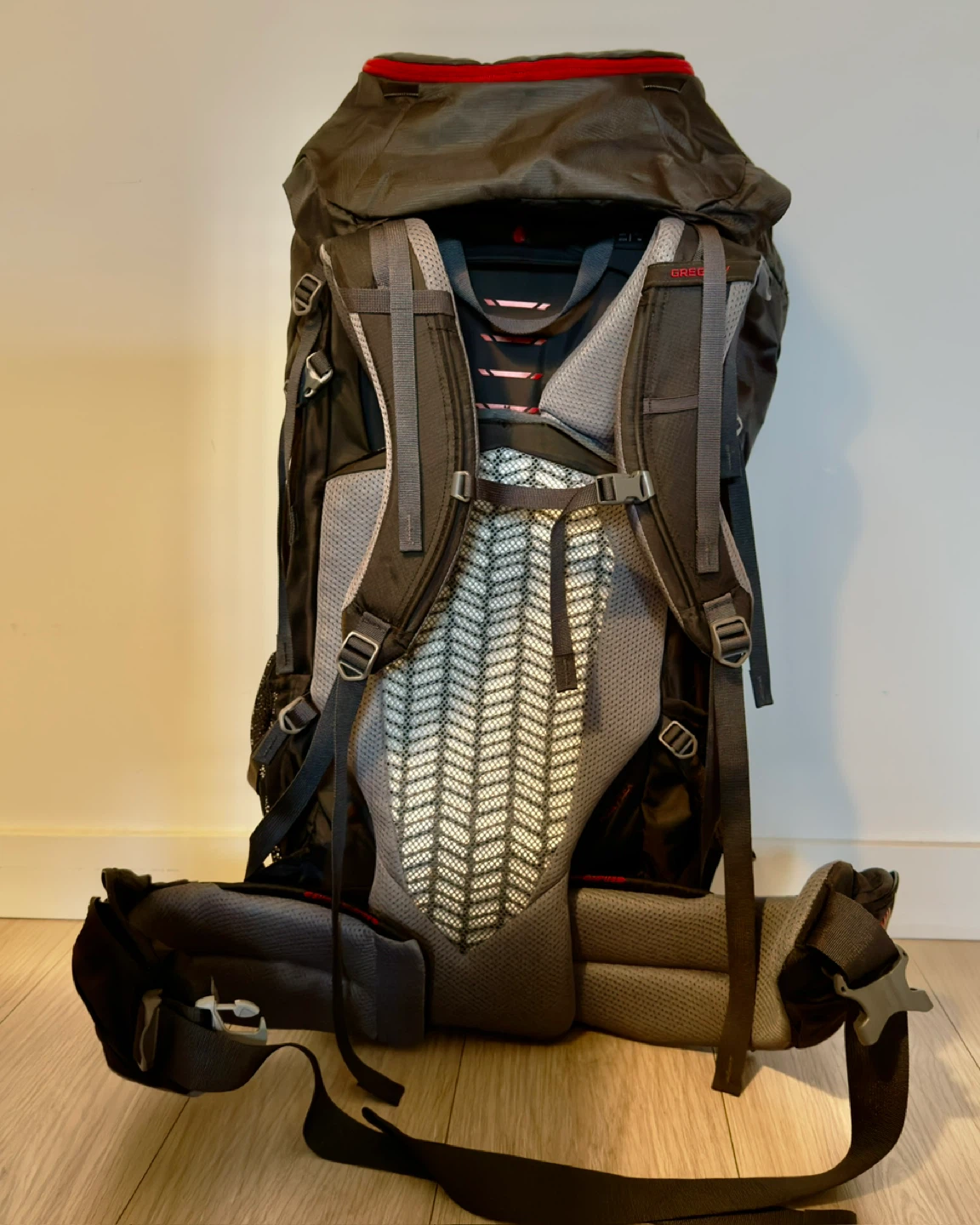 Gregory Stout 65 Backpack - photo 2