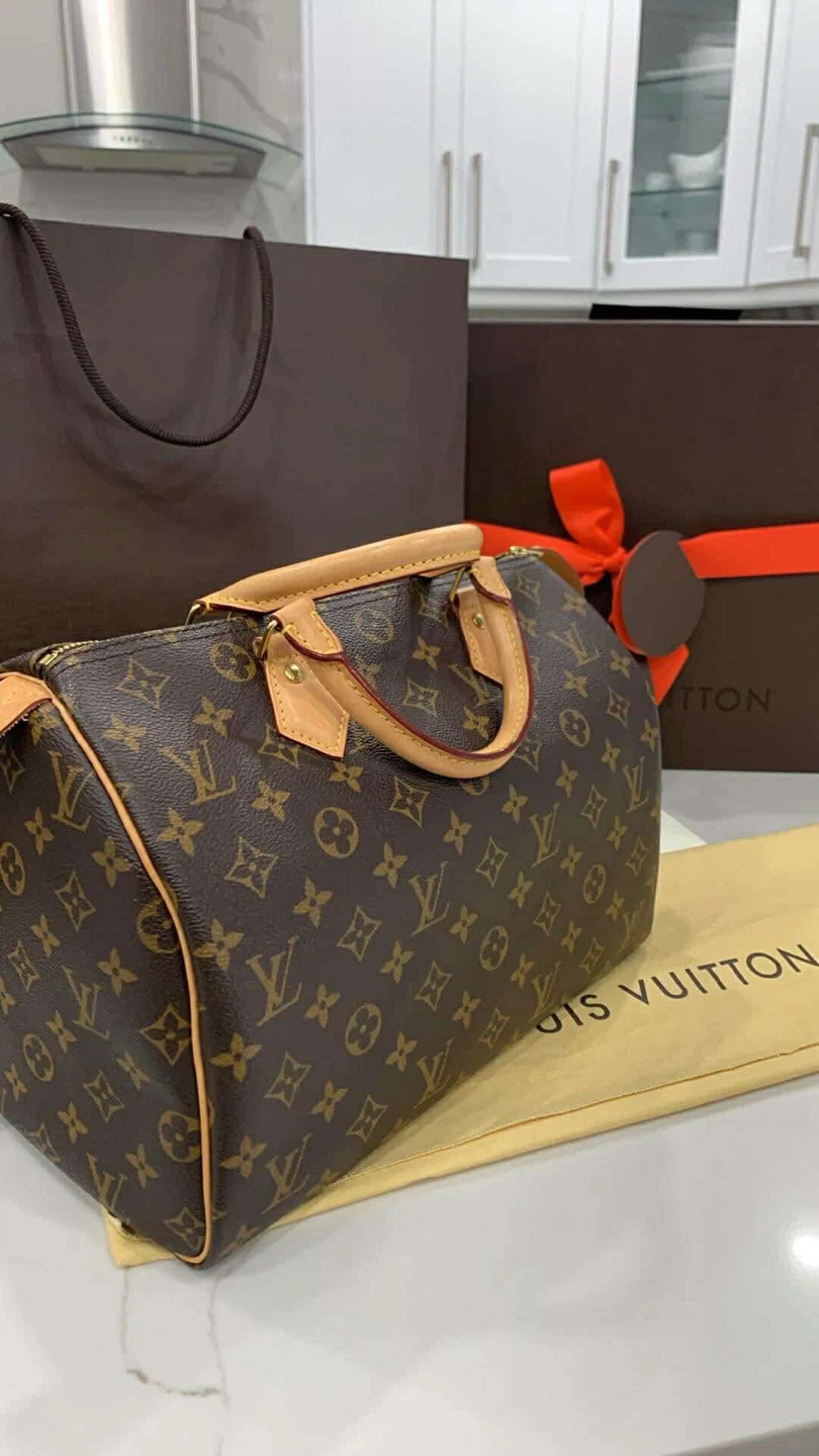 LV Speedy 30 Monogram