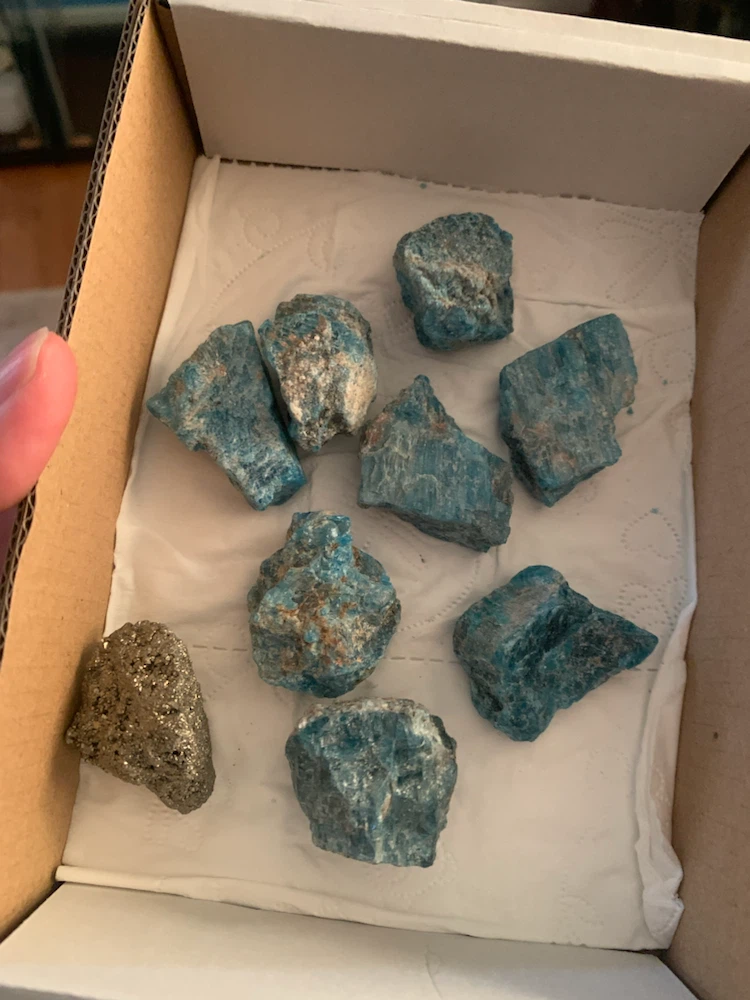 Blue Apatite and Pyrite Raw Mineral Specimens