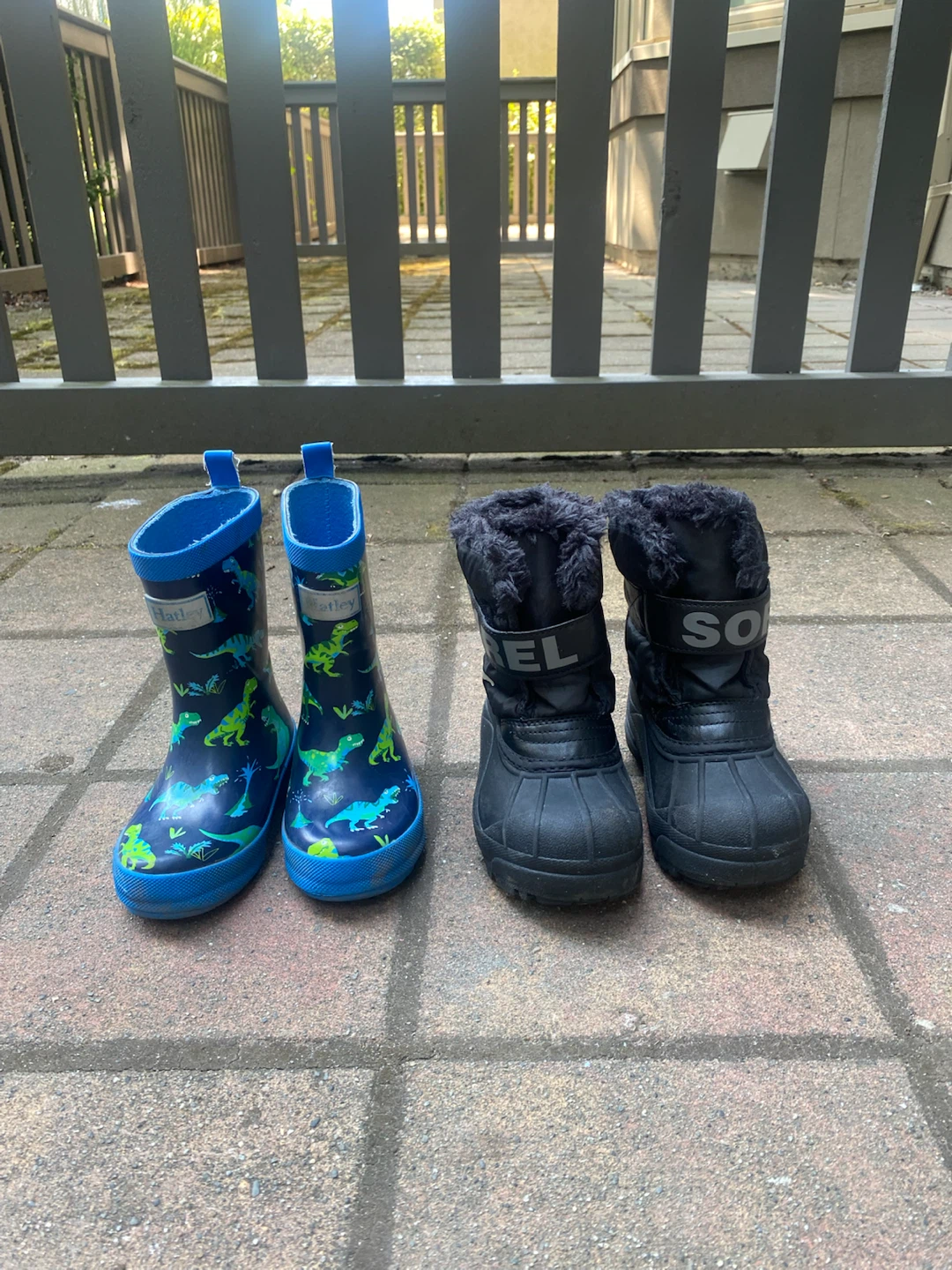 Hatley Dinosaur Rain Boots & Sorel Winter Boots